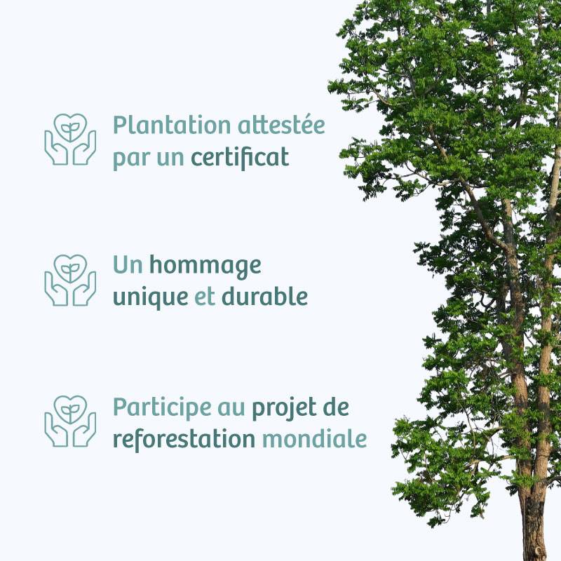 Planter un arbre en hommage à Mme MUGUETTE CERPEROT Née LEONARD